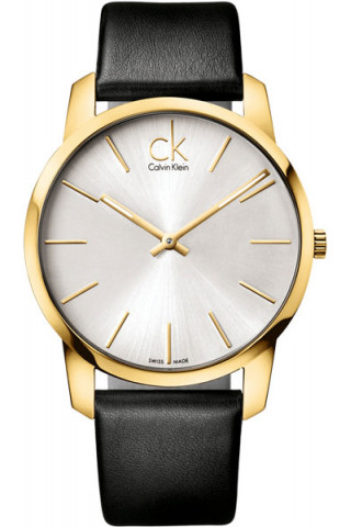 Мужские швейцарские наручные часы Calvin Klein K2G21520