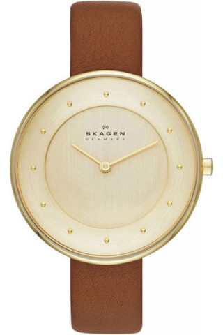 Женские часы Женские наручные часы Skagen SKW2138